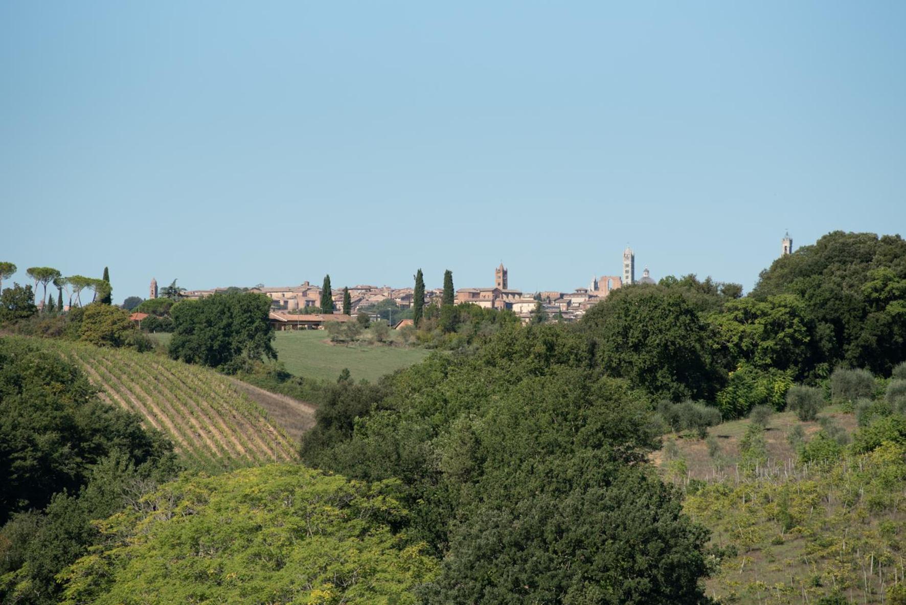 Agriturismo Il Colle Siena Exteriér fotografie