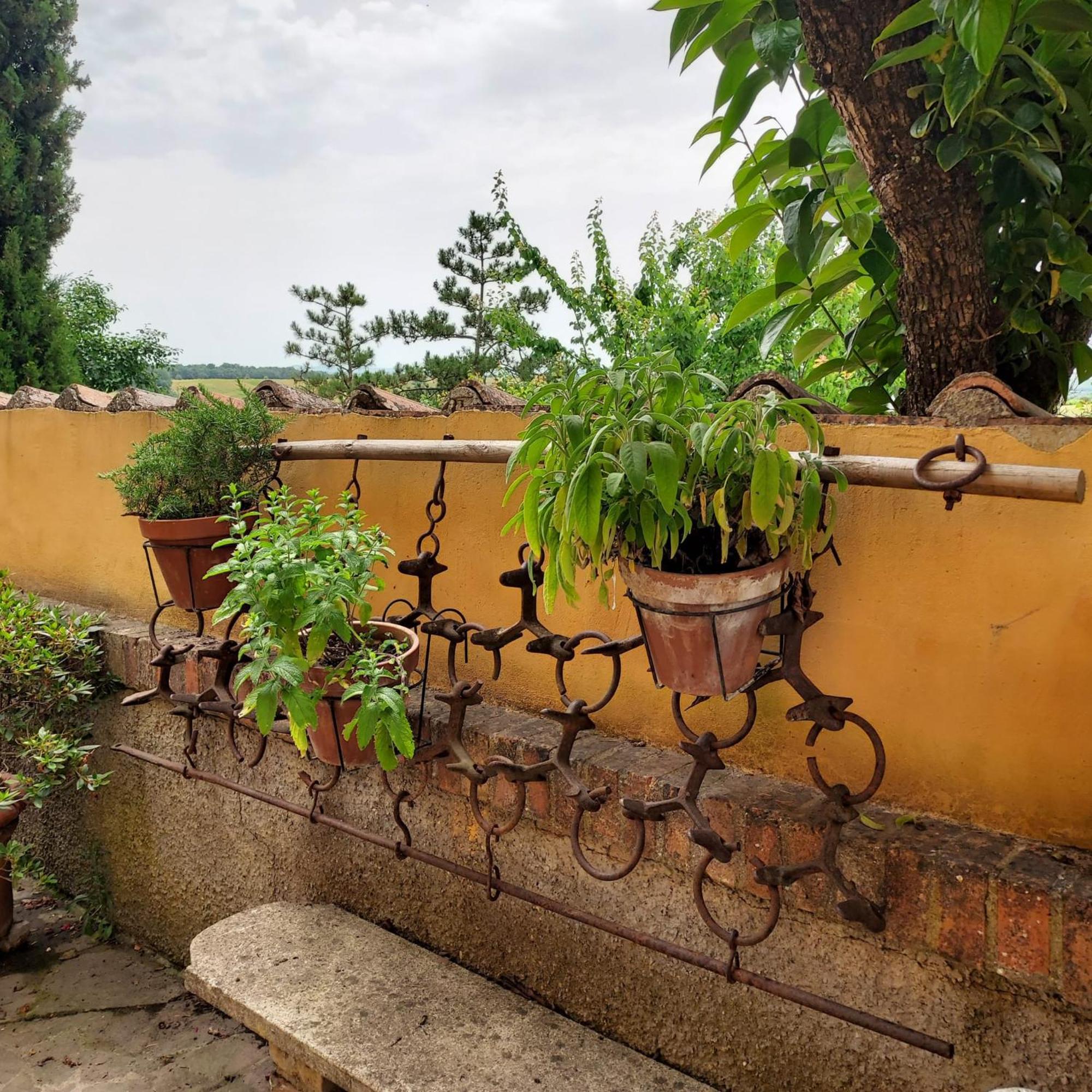 Agriturismo Il Colle Siena Exteriér fotografie