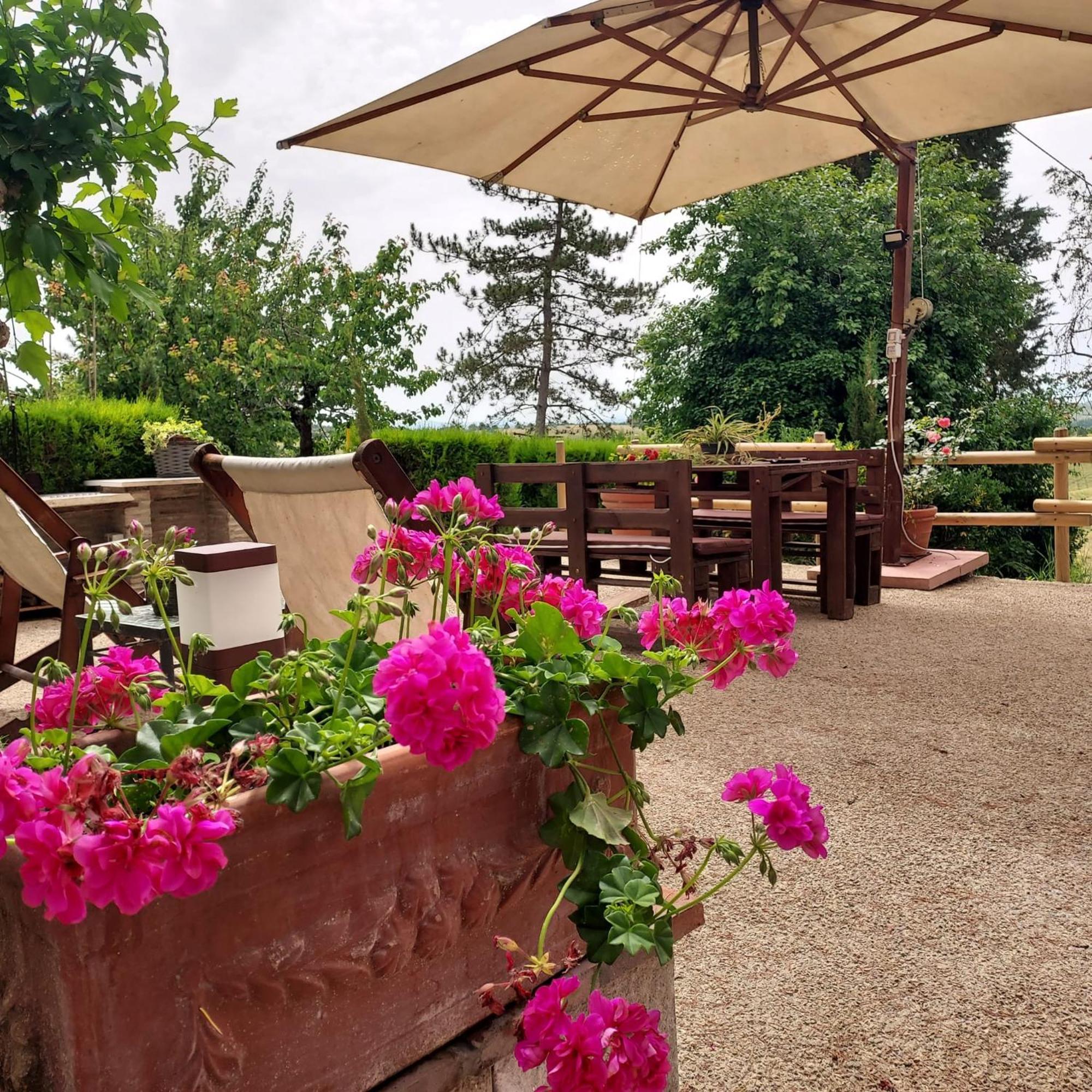 Agriturismo Il Colle Siena Exteriér fotografie