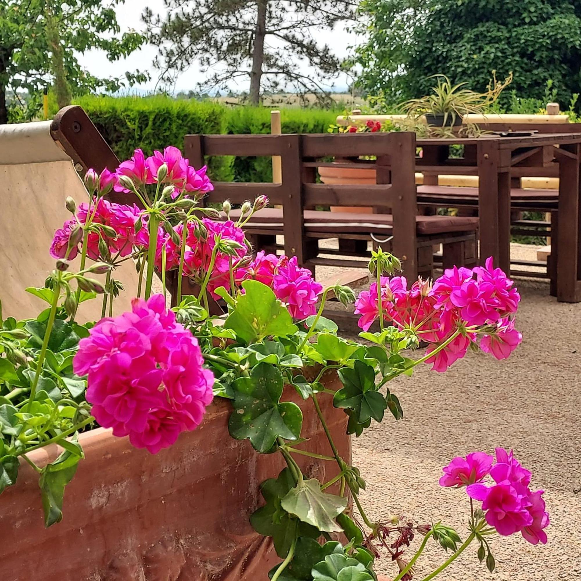 Agriturismo Il Colle Siena Exteriér fotografie