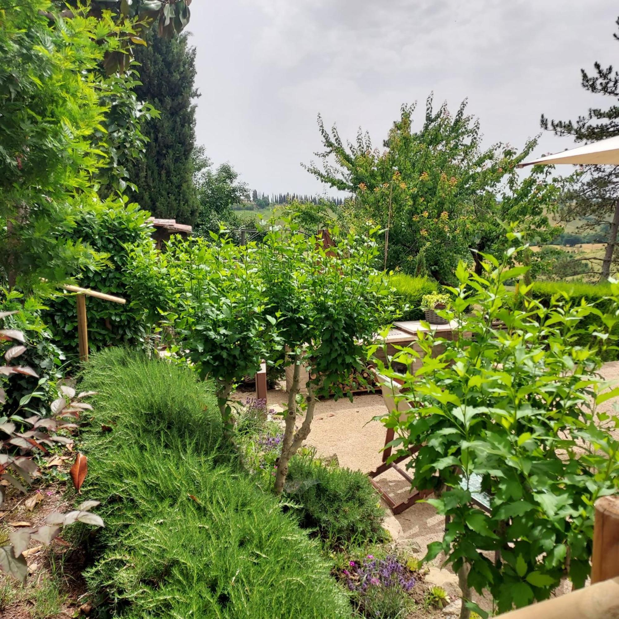 Agriturismo Il Colle Siena Exteriér fotografie