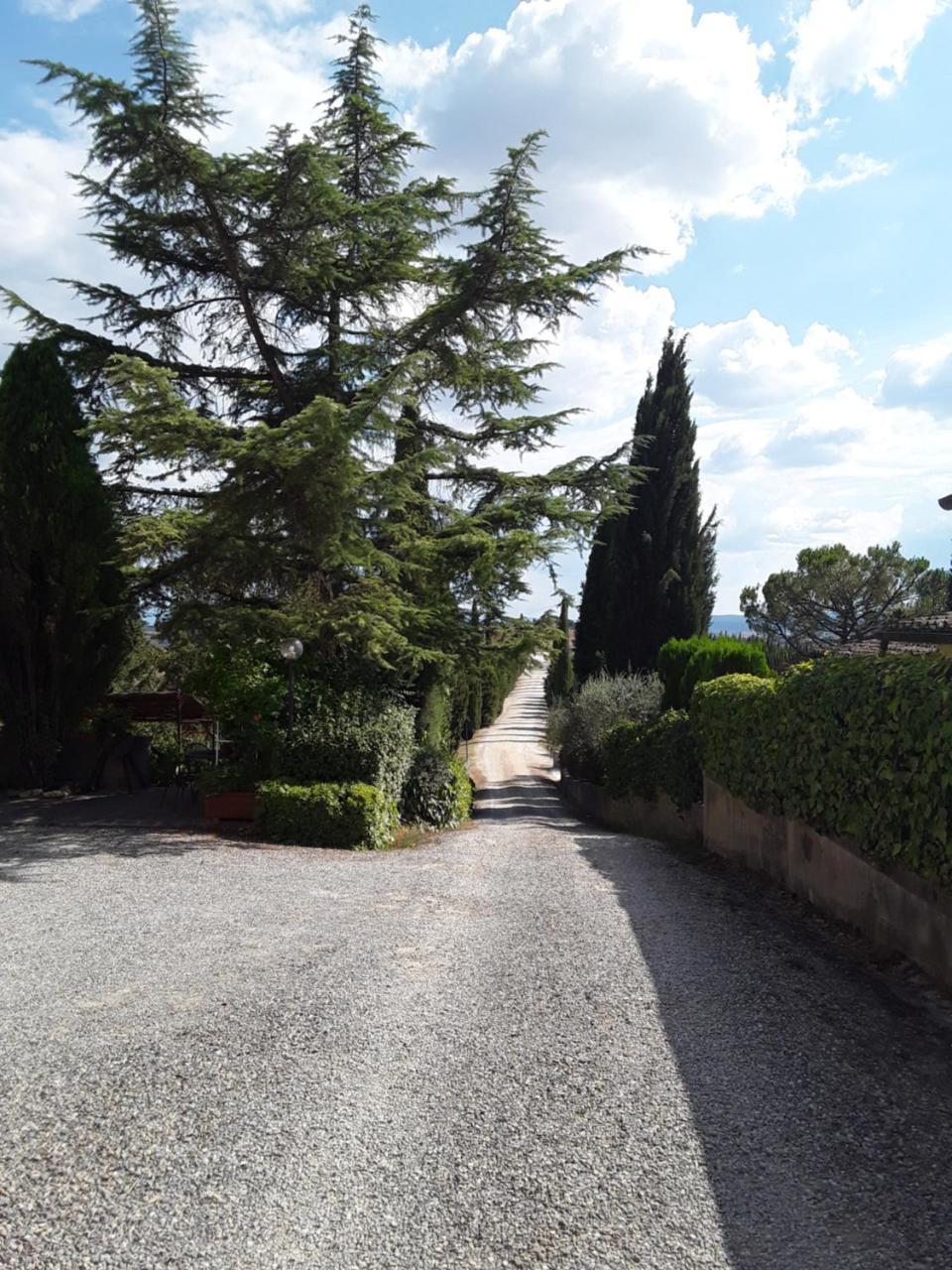 Agriturismo Il Colle Siena Exteriér fotografie