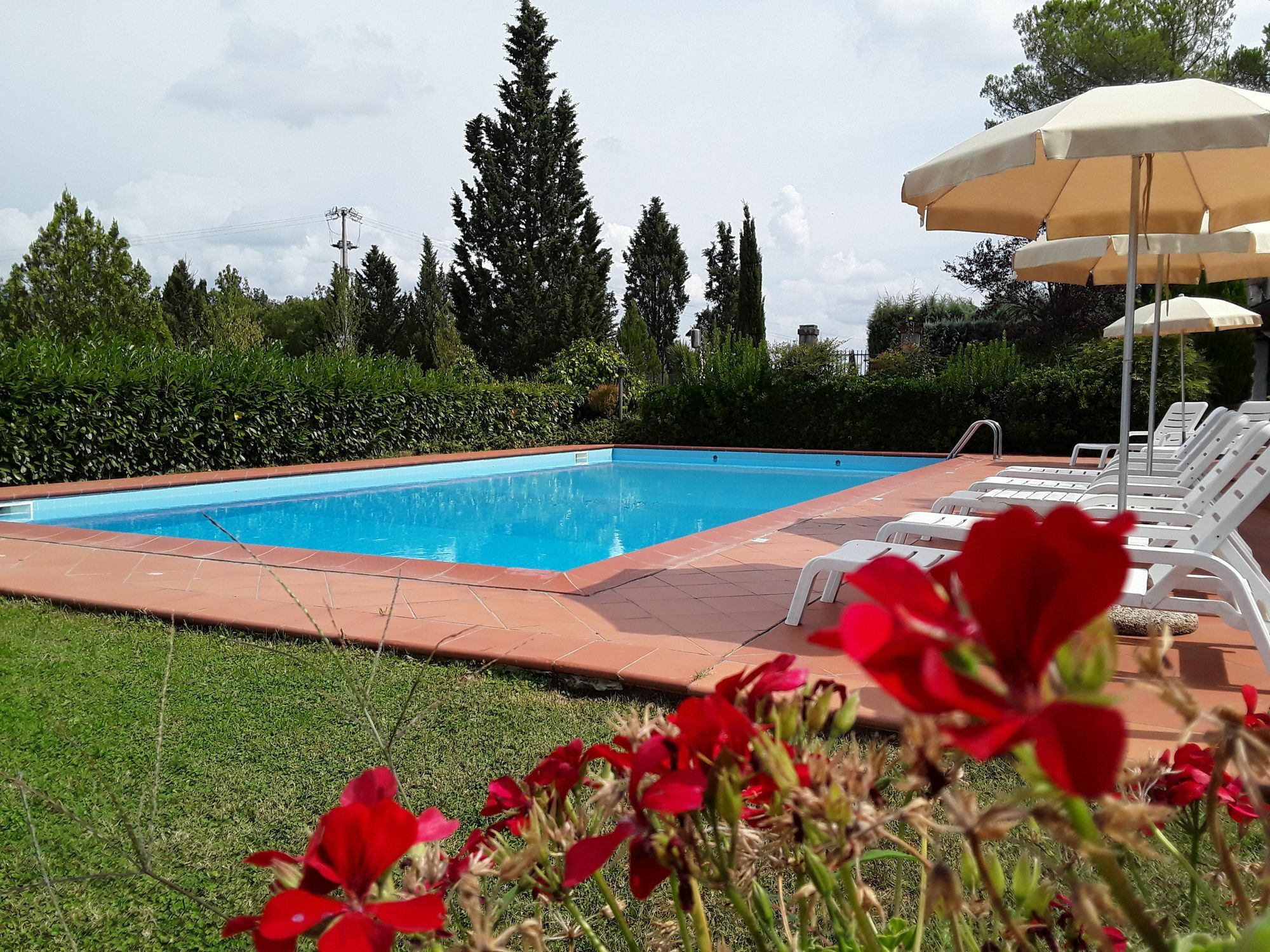 Agriturismo Il Colle Siena Exteriér fotografie